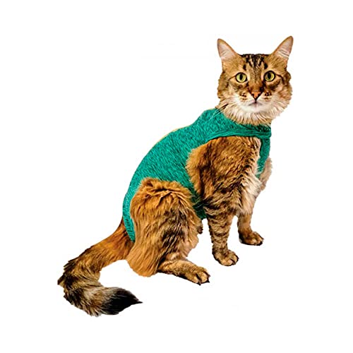 INSTR-FUN 926724005V Confort quirurgico Gato Verde Body Dry Comfort Post-Katze T5 grün 1D PETMED, Kunststoff von INSTR-FUN