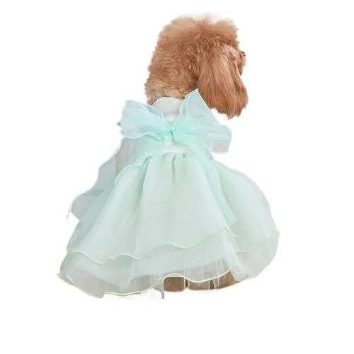 Hochzeitskleid for Hunde, Braut, weißes Outfit, Sommer-Hundekleidung, kompatibel mit kleinen Hunden, Yorkies, Chihuahua, Haustier, formelle Kleidung, kompatibel mit Welpen und Katzen (Color : Green, von INSTR