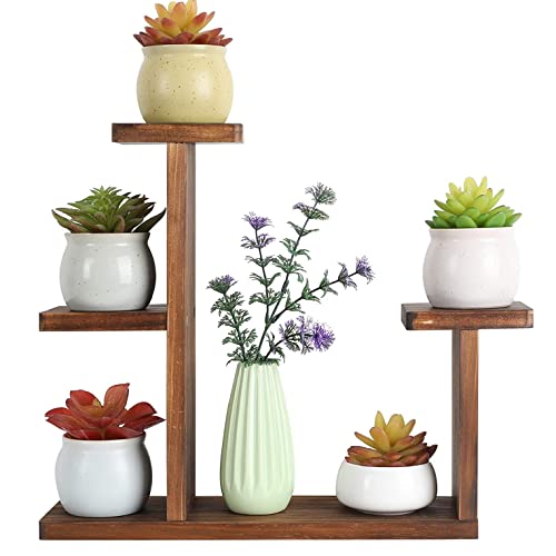 Holz-Desktop-Pflanzenständer Indoor Kleines Blumenregal Home Office Tabletop-Pflanzenregal-Halter-Display-Rack für saftige Kräuter (5-Tier,Wood) von INSTUS