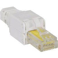 Intellinet - Werkzeugloser RJ45-Stecker RJ45-Modularstecker kein Crimpwerkzeug benötigt 79 von Intellinet