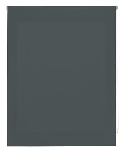 INTERBLIND | Premium Rollo, lichtdurchlässig, glatt, 100 x 175 cm (Breite x Höhe), Stoffmaß 97 x 170 cm, lichtdurchlässig, Pastellgrau, Premium Fenster von INTERBLIND