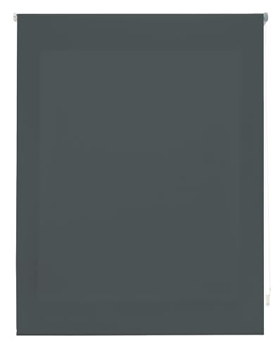 INTERBLIND Premium Rollo, lichtdurchlässig, glatt, 180 x 175 cm (Breite x Höhe) - Stoffmaß 177 x 170 cm - Pastellgrau - für Fenster von INTERBLIND