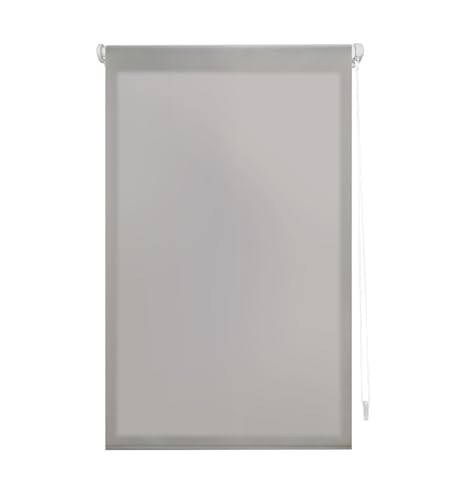 INTERBLIND Premium Rollo, transparent, glatt, 62 x 180 cm, Montage ohne Werkzeug, Silber INTERBLIND Premium Rollo, transparent, glatt, 62 x 180 cm, Montage ohne Werkzeug, Silber von INTERBLIND