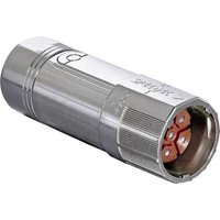 Intercontec BSTA085NN00430100000 Stecker 1St. von INTERCONTEC
