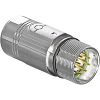 Intercontec Industriesteckverbinder M23 Serie 623 - Signalsteckverbinder AKUA012MR04410200C00 AKUA01 von INTERCONTEC