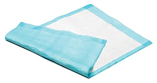 KRANKENUNTERLAGEN EINMALUNTERLAGEN - 60 x 90 cm - 10 Stuck - INTERHOME© von INTERHOME