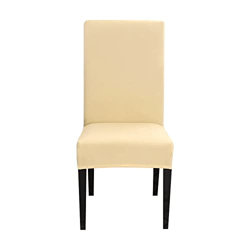 INTIRILIFE 4X Elastischer Stuhlhusse Stuhlüberzug in Creme mit 38-45 cm Sitzfläche und 45-65 cm Lehnenhöhe - Für Partys Hochzeiten Hotels oder Zuhause im Esszimmer von INTIRILIFE