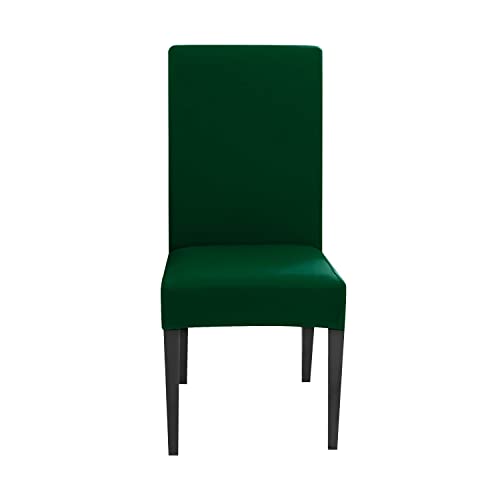 INTIRILIFE 6X Elastischer Stuhlhusse Stuhlüberzug in GRÜN mit 38-45 cm Sitzfläche und 45-65 cm Lehnenhöhe - Für Partys Hochzeiten Hotels oder Zuhause im Esszimmer von INTIRILIFE