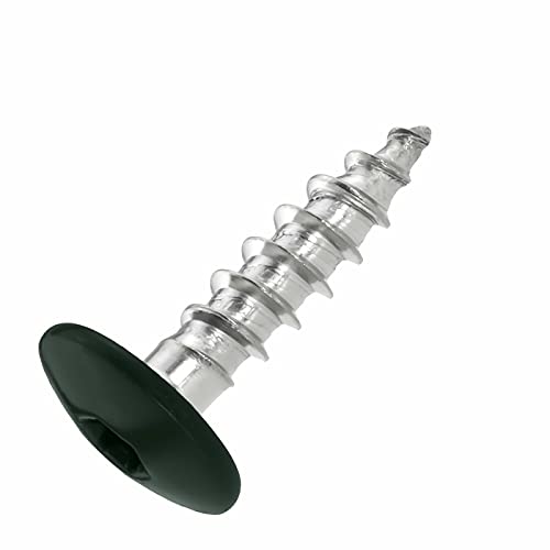 SCREW REBEL Fassadenschrauben 4,8x20 TX20 - RAL 6009, Tannengrün - 100 Stück Edelstahl A2 Trespo von INTRA-TEC