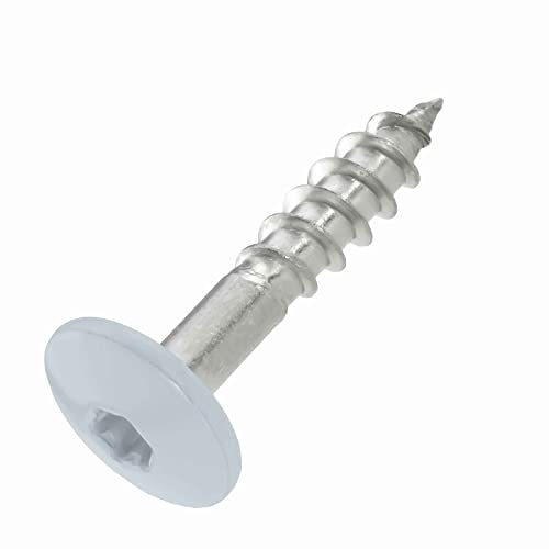 SCREW REBEL Fassadenschrauben 4,8x25 TX20 - RAL 7001 Silbergrau - 100 Stück Edelstahl A2 Trespo SCREW REBEL Fassadenschrauben 4,8x25 TX20 - RAL 7001 Silbergrau - 100 Stück Edelstahl A2 Trespo von INTRA-TEC