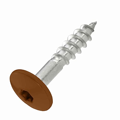SCREW REBEL Fassadenschrauben 4,8x25 TX20 - RAL 8003 Lehmbraun - 100 Stück Edelstahl A2 Trespo SCREW REBEL Fassadenschrauben 4,8x25 TX20 - RAL 8003 Lehmbraun - 100 Stück Edelstahl A2 Trespo von INTRA-TEC