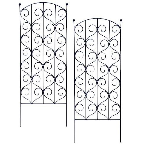 2er Set Rankhilfe aus Metall für Tomaten, Gurken und Kletterpflanzen (Set 79cm x 30cm) von INtrenDU