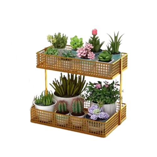 IOEDHW Metall-Pflanzenständer für drinnen und draußen, 2-stufiges Pflanzenregal, Blumenpräsentationsständer für mehrere Pflanzen, 10,24 Zoll vertikales, abgestuftes Desktop-Blumenregal, Lagerregal IOEDHW Metall-Pflanzenständer für drinnen und draußen, 2-stufiges Pflanzenregal, Blumenpräsentationsständer für mehrere Pflanzen, 10,24 Zoll vertikales, abgestuftes Desktop-Blumenregal, Lagerregal von IOEDHW