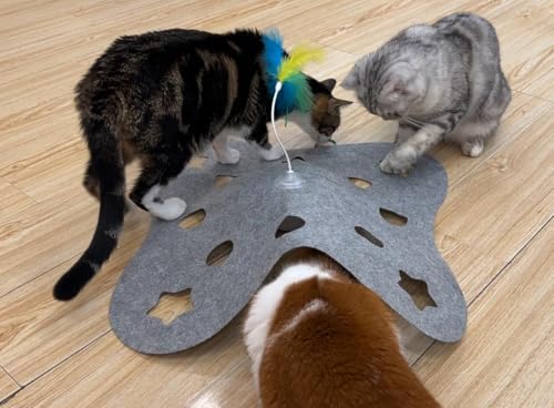 IOKHEIRA Katzenspielzeug Interaktiv für Hauskatzen, Katzenspielzeug mit Federn und Loch IOKHEIRA Katzenspielzeug Interaktiv für Hauskatzen, Katzenspielzeug mit Federn und Loch von IOKHEIRA