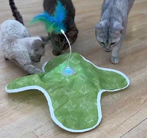 IOKHEIRA Katzenspielzeug Interaktiv für Hauskatzen, Katzenspielzeug mit Federn IOKHEIRA Katzenspielzeug Interaktiv für Hauskatzen, Katzenspielzeug mit Federn von IOKHEIRA