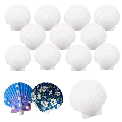 IOPJLK Weiß Jakobsmuschel 12 Stück Natürliche Deko Muscheln Groß Muschelschalen 10-12cm für DIY Malerei Kunst, Handwerk Set, Muscheln zum Bemalen, Ostergeschenke, Muschel Windspiel von IOPJLK