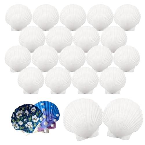 IOPJLK Weiß Jakobsmuschel 20 Stück Natürliche Deko Muscheln Groß Muschelschalen 6-8cm für DIY Malerei Kunst, Handwerk Set, Muscheln zum Bemalen, Ostergeschenke, Muschel Windspiel von IOPJLK