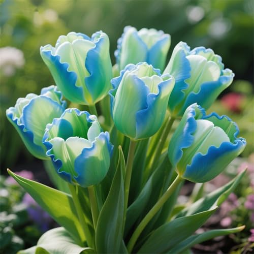 Tulpen zum Anpflanzen/winterhart mehrjährig/Schnellwachsend/Lange Blütezeit–Hochwertig,gemischt,selten,ausgewählt-4rhizome-J Tulpen zum Anpflanzen/winterhart mehrjährig/Schnellwachsend/Lange Blütezeit–Hochwertig,gemischt,selten,ausgewählt-4rhizome-J von IOUPLIUKDF