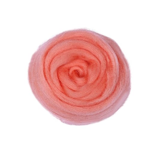 IPAGSEFWE Kardierte Wolle zum Filzen, Filzwolle Roving 50g Multicolor 1 Stück(12) von IPAGSEFWE