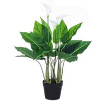Calla-Pflanze zur Dekoration mit Topf 68h cm von IPERBRIKO
