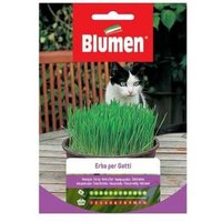 Samen Gras für Katzen Blumen von IPERBRIKO