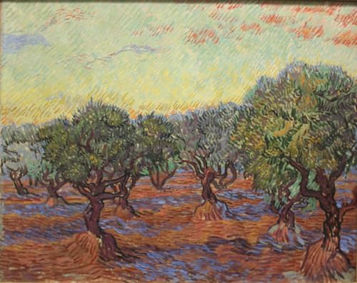 IPLUPJDY Berühmte Gemälde Gemälde Kunst Bilder Kunstdruck Leinwand Olivenhain von vincent van gogh Abstrakte Leinwandbilder für Wohnzimmer-Dekor 60x90cm von IPLUPJDY