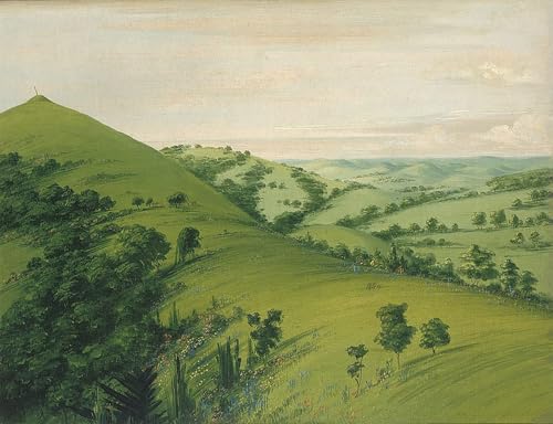 IPLUPJDY Kunstdruck Leinwand Abstrakte Leinwand Kunst Bilder Druck Wandgemälde Blackbird's Grave a Back View Prairies emailliert mit Blumen von George Catlin für Wanddekoration 60x90cm von IPLUPJDY