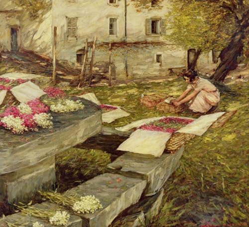 IPLUPJDY Kunstdruck Leinwand Bilder Moderne Druck Leinwand Malerei Aktien pflücken von Henry Herbert La Thangue Leinwanddruck Malerei für Wanddekoration 60x90cm von IPLUPJDY