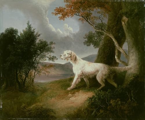 IPLUPJDY Kunstdruck Leinwand Bilder Moderne Druck Leinwand Malerei Landschaft mit Hund von Doughty Leinwanddruck Malerei für Wanddekoration 60x90cm von IPLUPJDY