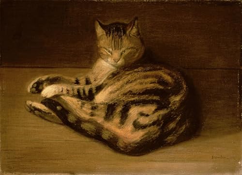 IPLUPJDY Kunstdruck Leinwand Bilder Moderne Druck Leinwand Malerei Liegende Katze von Théophile Alexandre Steinlen Leinwanddruck Malerei für Wanddekoration 60x90cm von IPLUPJDY