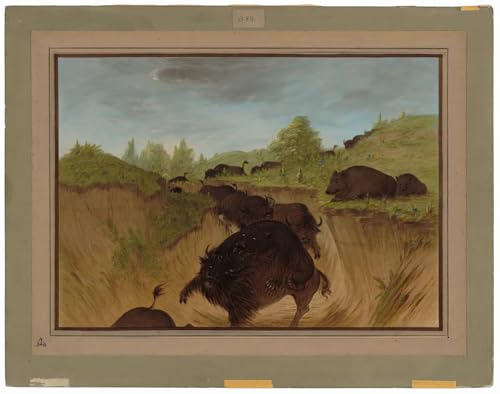IPLUPJDY Vintage Leinwand Wandkunst Poster Bilder Leinwand Poster Druck Grizzly-Tiere die ein Tier angreifen von George Catlin Kunst Gemälde für Heimdekoration 60x90cm von IPLUPJDY