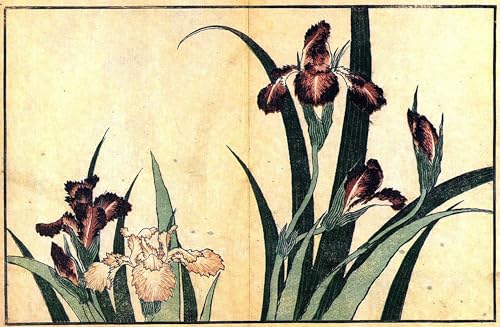 IPLUPJDY Vintage Leinwand Wandkunst Poster Bilder Leinwand Poster Druck Iris Von Katsushika Hokusai Kunst Gemälde für Heimdekoration 60x90cm IPLUPJDY Vintage Leinwand Wandkunst Poster Bilder Leinwand Poster Druck Iris Von Katsushika Hokusai Kunst Gemälde für Heimdekoration 60x90cm von IPLUPJDY