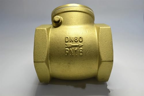 IPNDKBFL DN65 DN80' DN100 BSPP Rückschlagventil verhindert Wasserrückfluss(DN80) von IPNDKBFL