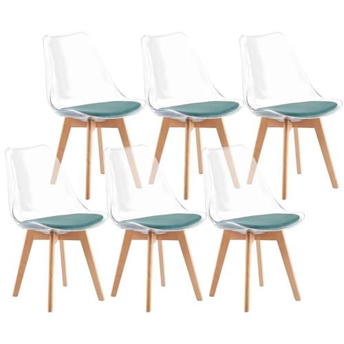 IPOTIUS 6er Set Esszimmerstühle Skandinavisch mit Transparent Rückenlehne - Küchenstühle mit Massivholz Buchenholzbeinen und Aquagrün Veloursppolster von IPOTIUS