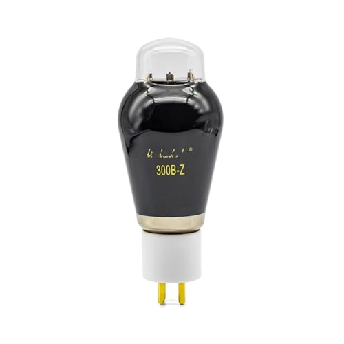 300B-Z Röhren-Upgrade 300B/4300B/WE300B/PX300B/7300B Verstärker DIY-Paket(1PCS) von IPZRKJRPF