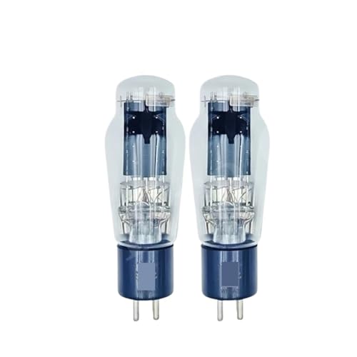 Die WR2A3-Röhre ersetzt 2A3 2A3B 2A3C WE2A3 HIFI-Audio(2pcs Matched Pair) von IPZRKJRPF