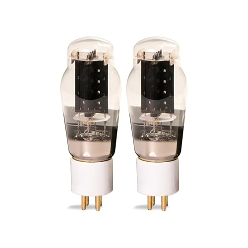 IPZRKJRPF 2A3B Vakuumröhren-Audioventil ersetzt WE2A3 2A3C 2A3 Röhrenverstärker(2 pcs) von IPZRKJRPF