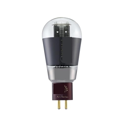 IPZRKJRPF Art 300B Röhre ersetzt WE300B 300BN 300BT 4300B 7300B 300B(1PCS) von IPZRKJRPF