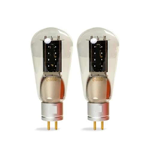 IPZRKJRPF E-300B Röhrenverstärker-Bausatz DIY Audio(2 pcs) von IPZRKJRPF