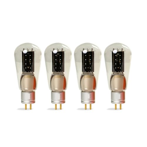 IPZRKJRPF E-300B Röhrenverstärker-Bausatz DIY Audio(4 PCS) von IPZRKJRPF