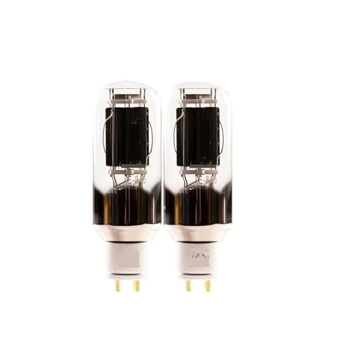 IPZRKJRPF E805A Elektronenröhre E-805A Präzisionsröhre(2 Piece E805A) von IPZRKJRPF
