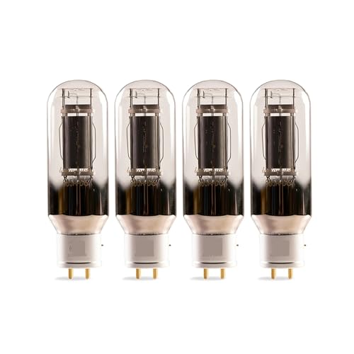 IPZRKJRPF Vakuumröhre 805A-DG 805ADG Upgrade 805A 805 805M 805AT Audio-Röhrenverstärker DIY(4 PCS) von IPZRKJRPF