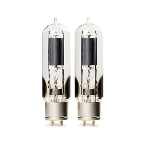 IPZRKJRPF WE211 Vakuumröhren-Upgrade KR211 211 Röhrenverstärker-Kit präzise Anpassung(2 pcs) von IPZRKJRPF
