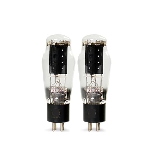IPZRKJRPF WE2A3 HiFi Audio Röhrenverstärker Bausatz DIY-Unterstützung(2 pcs) von IPZRKJRPF