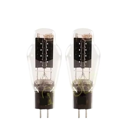 IPZRKJRPF WE300B Röhren-HiFi-Audio-Röhrenverstärker DIY(2PCS WE300B) von IPZRKJRPF