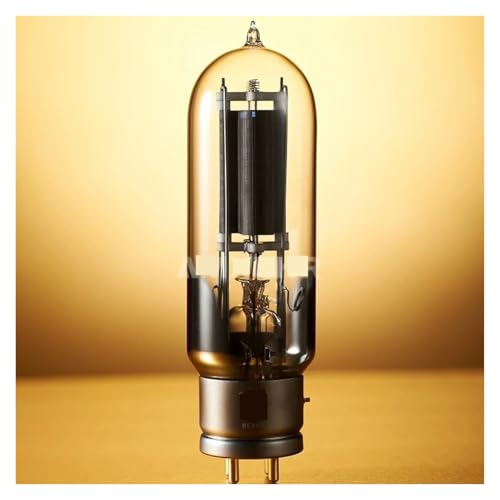 IPZRKJRPF WE845 845 Röhre(1 PCS) von IPZRKJRPF