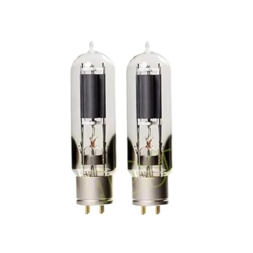 IPZRKJRPF WE845 Audio-Röhrenverstärker-Kit Präzisionsanpassung(2PCS WE845) von IPZRKJRPF