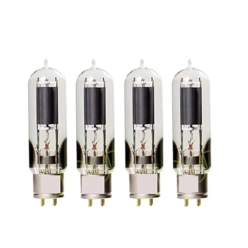 IPZRKJRPF WE845 Audio-Röhrenverstärker-Kit Präzisionsanpassung(4PCS WE845) von IPZRKJRPF