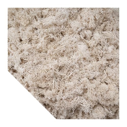 Künstliche grüne Pflanzen, Moos, Gras, Mini-Landschaft, DIY, Kunsthandwerk, Leben, künstliches Gras for Garten, Zuhause, Hotel, Dekoration, 500/1000/100 g(Beige,100g) von IRFHDCX