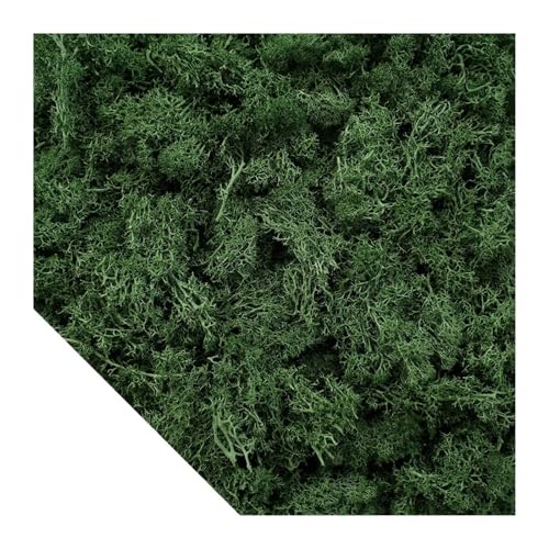 Künstliche grüne Pflanzen, Moos, Gras, Mini-Landschaft, DIY, Kunsthandwerk, Leben, künstliches Gras for Garten, Zuhause, Hotel, Dekoration, 500/1000/100 g(Dark green,100g) von IRFHDCX